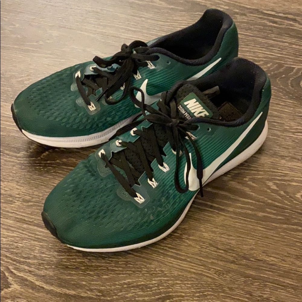 Nike Zoom Pegasus 34